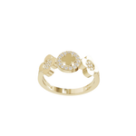 Load image into Gallery viewer, Chaturdal Ring – Gold Floral Ring for Women
