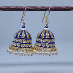 Load and play video in Gallery viewer, Jharoka Jhumka Earring
